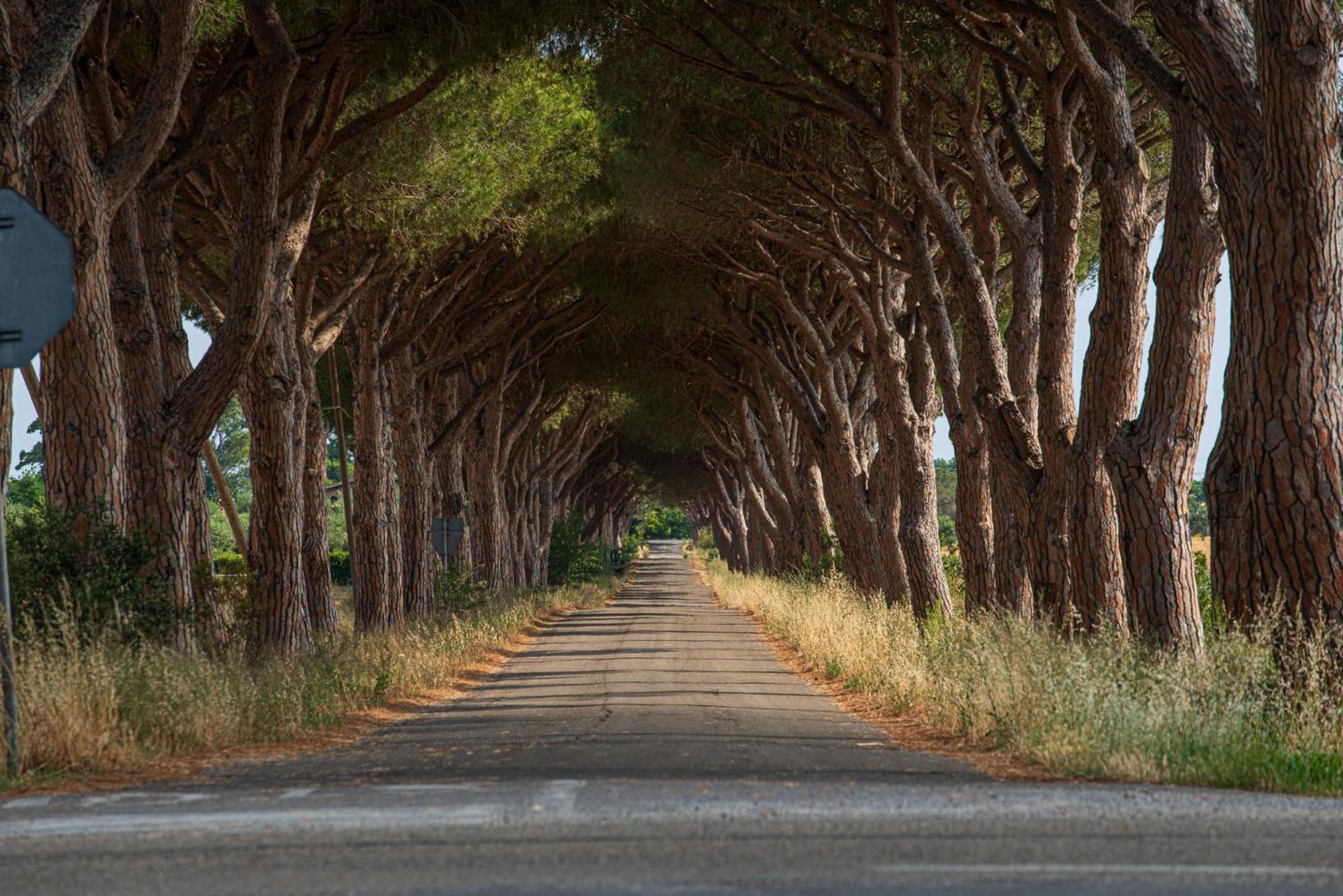 Resort Capalbio Dış mekan fotoğraf